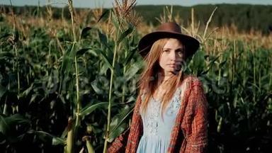 戴着帽子的漂亮年轻女孩站在玉米地里，在夕阳下看着相机的肖像。 现代农业